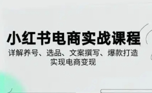 小红书从0-1实操课(2023-2025)，详解养号、选品、文案撰写、爆款打造实现电商变现-青年云网创—高质量项目商城